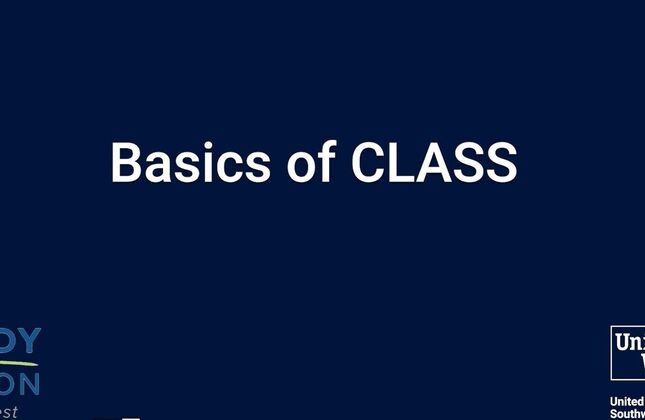 Basics of CLASS